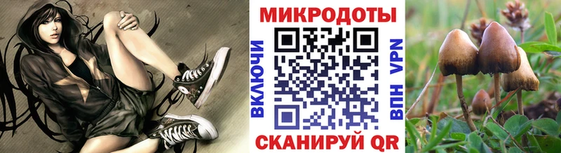 даркнет сайт Мытищи Псилоцибиновые грибы MAGIC MUSHROOMS