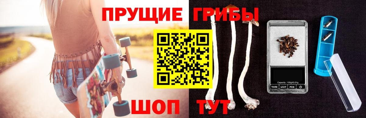 Псилоцибиновые грибы GOLDEN TEACHER Мытищи
